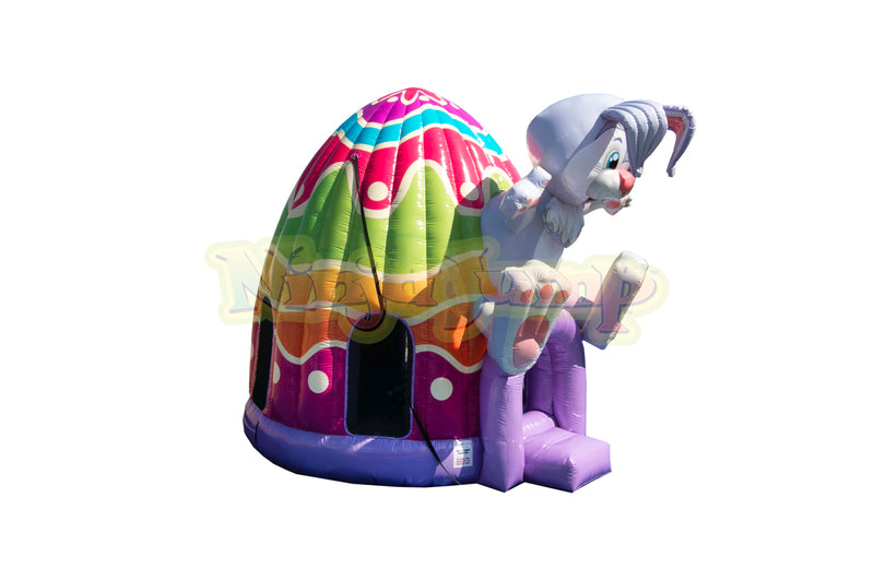 Raffle February 2025 Bunny Igloo